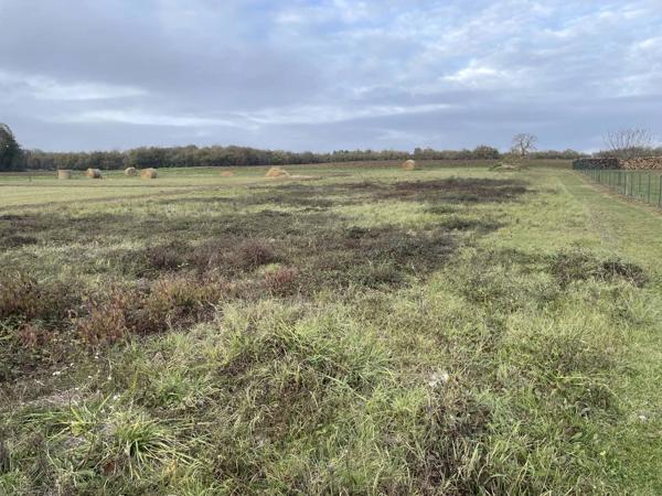 Terrain à bâtir – LERNÉ (37500)