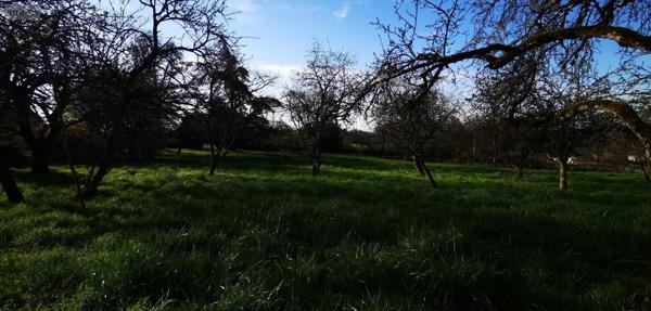 Pavillon à vendre à Noidant-Chatenoy en Haute-Marne (52600), ref : SGAUR115785