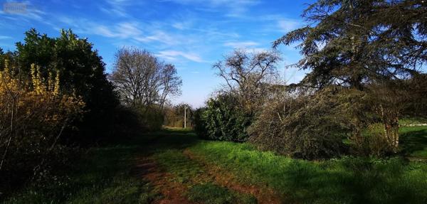 Pavillon à vendre à Noidant-Chatenoy en Haute-Marne (52600), ref : SGAUR115785