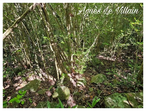 Terrain Borné 2 382 m2 à Massieux