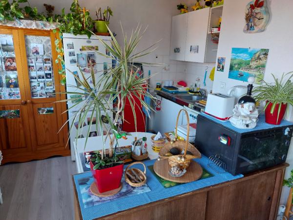 T2 + Parking + cave A LOUER A L'ANNEE EN VIDE RUE SCHWEITZER LES SABLES