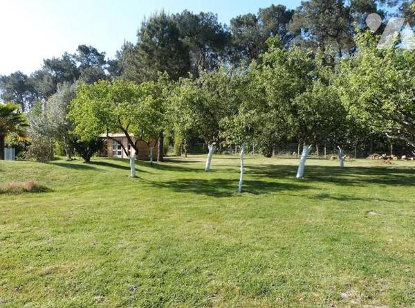 Challans, maison de Maître