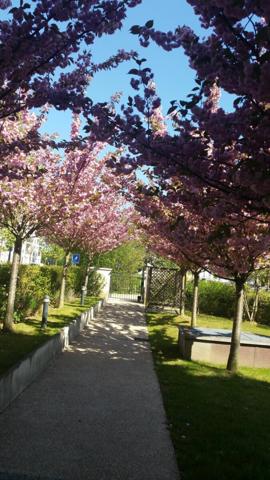 Appartement à vendre    3 pièces • 62 m2 Guyancourt