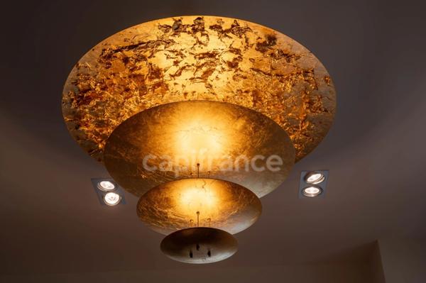 MAISON BOURGEOISE 255 M2 ENTIÈREMENT RÉNOVÉE, STUDIO DE 35 M2, PARC CLOS ET ARBORÉ DE 4 303 M2, 4 CHAMBRES DONT UNE SUITE PARENTALE, 3 GARAGES, PIÈCE DE VIE DE 88 M2, TERRASSE, JACUZZI,