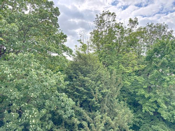 Appartement à vendre 6 pièces REIMS (51) balcons garages