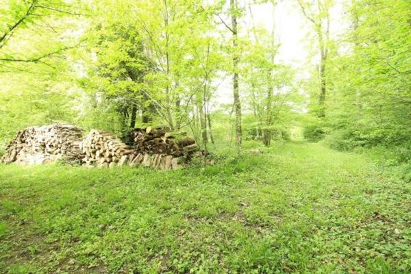 GRAND DOMAINE AVEC MAISON D ARCHITECTE 300M2 sur 10 HECTARES