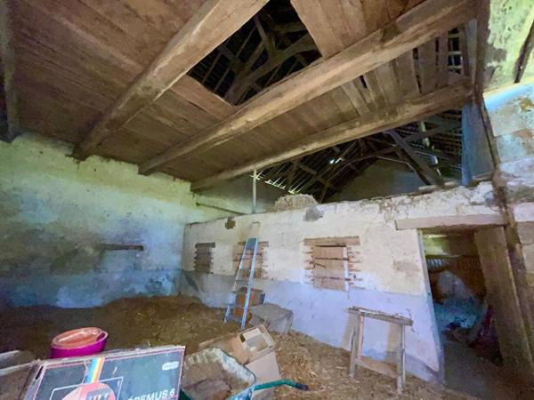 Belle propriété ancienne avec garages et grand terrain - Secteur calme