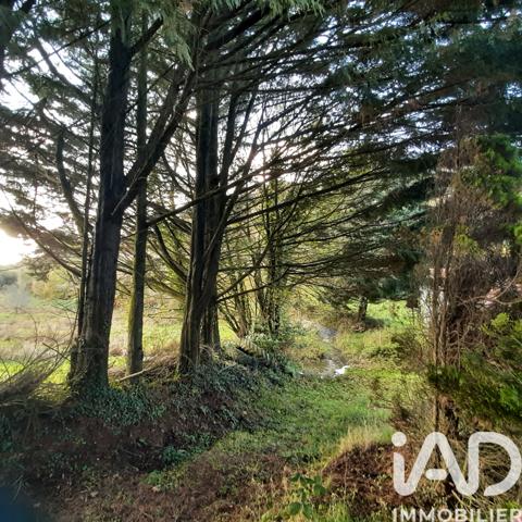 Maison à vendre 5 pièces 100 m² Calanhel