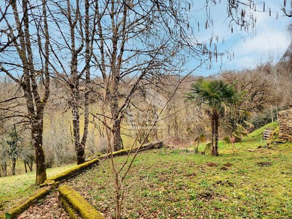 Grande maison familiale proche de Figeac avec dépendance