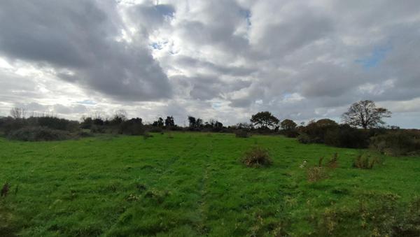 Terrain Chambretaud 104600 m2