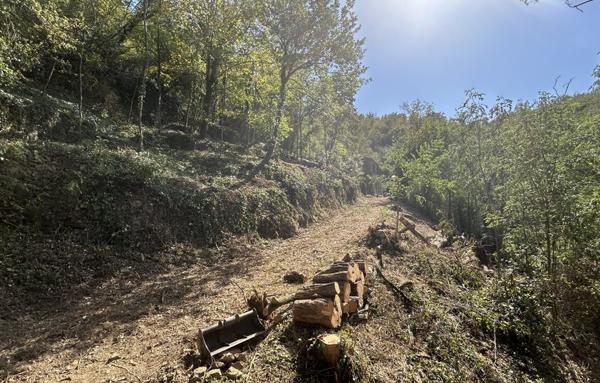 Maison en pierres à restaurer entièrement