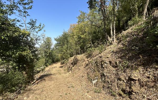 Maison en pierres à restaurer entièrement