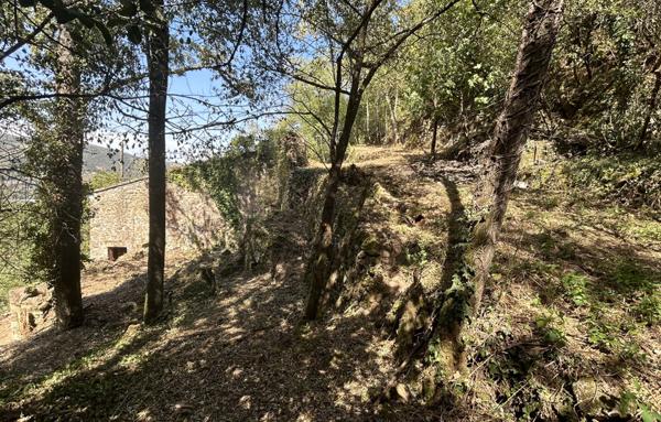 Maison en pierres à restaurer entièrement