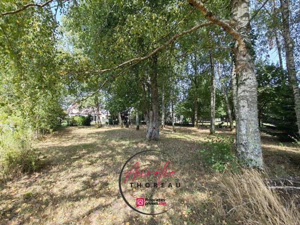 Élégante maison familiale à Chilleurs-aux-Bois