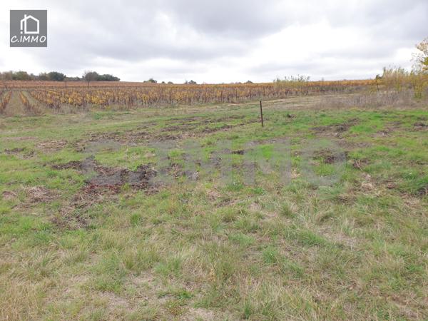 Terrain agricole