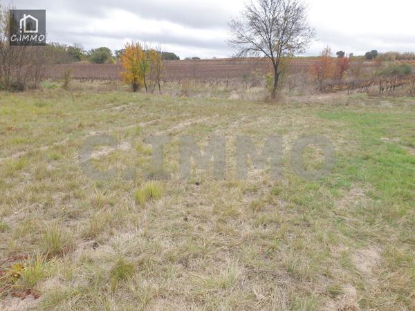 Terrain agricole