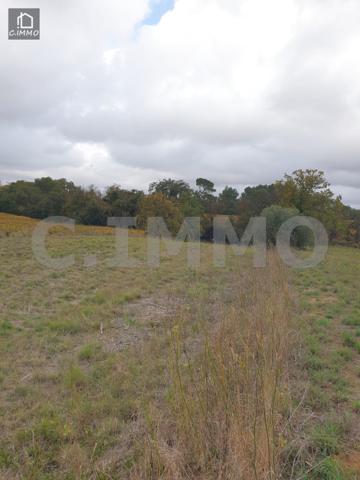 Terrain agricole