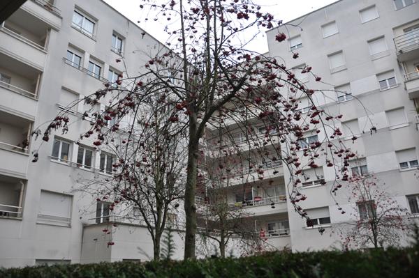 Appartement EAUBONNE - 2 pièces - 39,10 m²