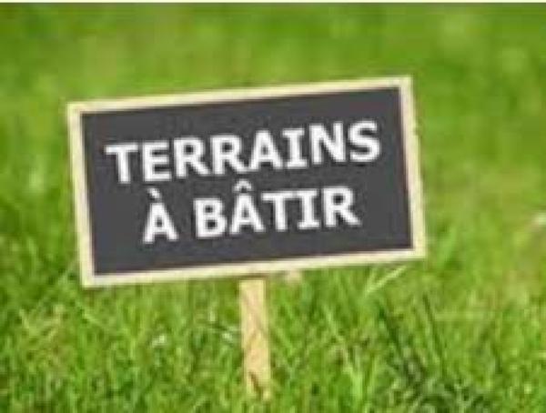 Terrain