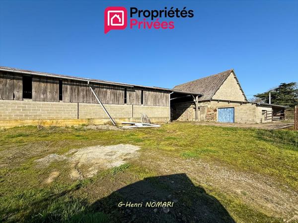 Maison ou Ancienne ferme à Martigné Ferchaud 8 pièce(s) 207 m2, 3,8 hect. de terrain