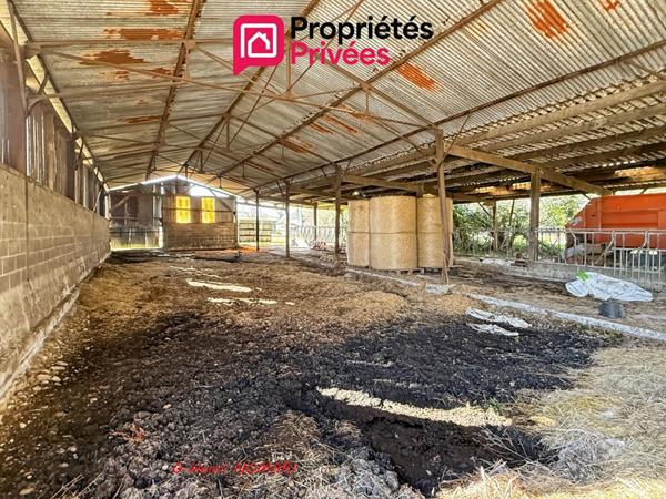 Maison ou Ancienne ferme à Martigné Ferchaud 8 pièce(s) 207 m2, 3,8 hect. de terrain