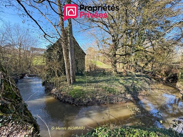 Maison ou Ancienne ferme à Martigné Ferchaud 8 pièce(s) 207 m2, 3,8 hect. de terrain