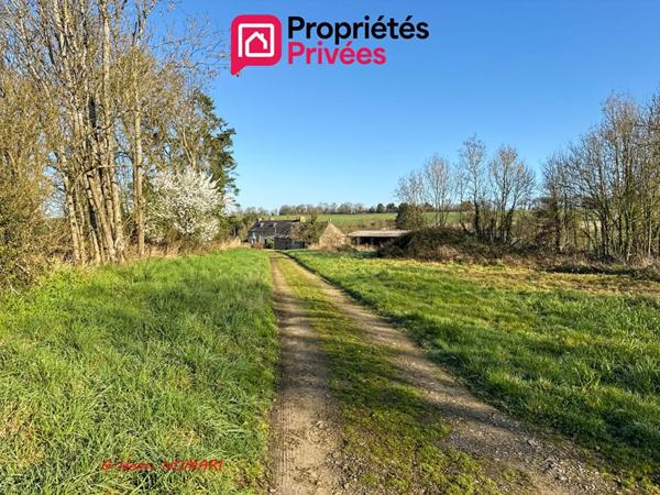 Maison ou Ancienne ferme à Martigné Ferchaud 8 pièce(s) 207 m2, 3,8 hect. de terrain