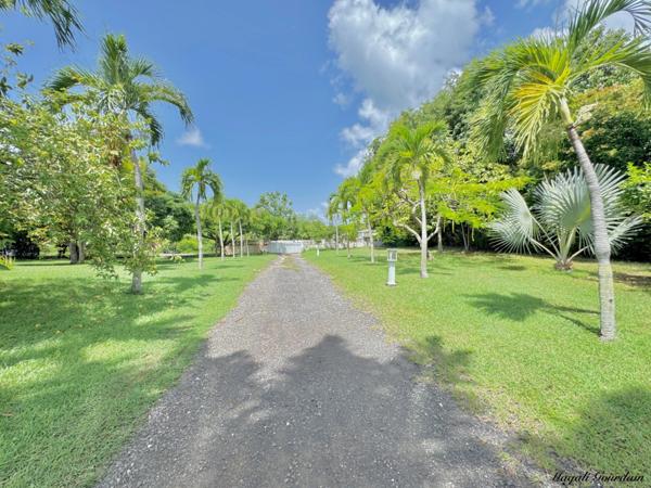 EXCLUSIVITÉ – ENSEMBLE TOURISTIQUE AVEC MAISON PRINCIPALE ET GITES - SAINT FRANCOIS