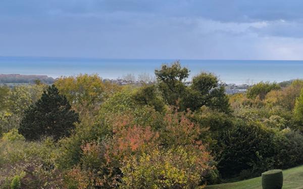 Appartement à vendre    2 pièces • 49,38 m2 Tourgéville