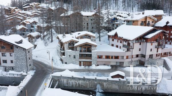 Élégance alpine : ambiance chalet et grands volumes sous plafond