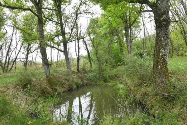 Maison à vendre |  Vanxains |  7 pièces | 199 m²