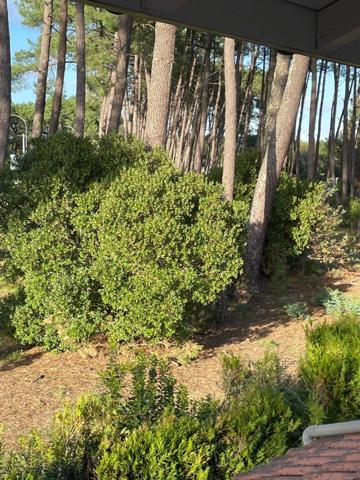 Quand Simone vend sa jolie maison sur un terrain de plus de 1100 m2 à LANTON (33)