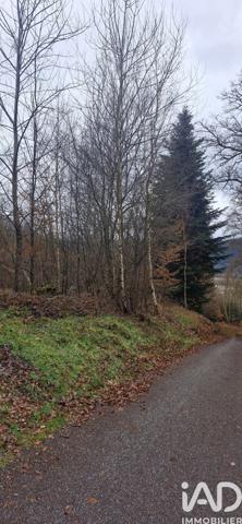 Terrain à vendre 6 800 m² Saint-Nabord