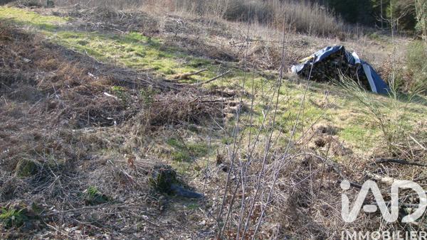 Terrain à vendre 6 800 m² Saint-Nabord