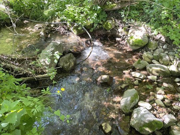 Corps de ferme 400m2 Saint Laurent du Cros (05500)