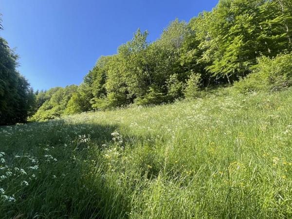 Corps de ferme 400m2 Saint Laurent du Cros (05500)