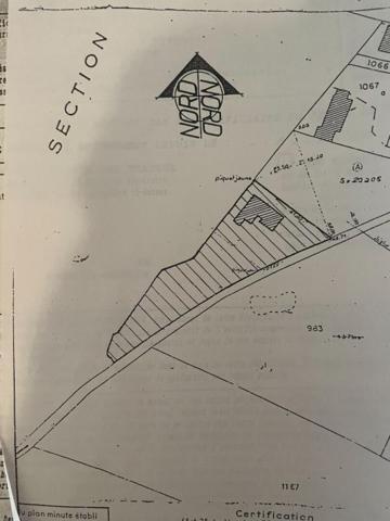 Maison de plain pied avec un grand jardin arboré