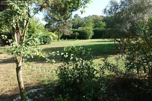 Vente                                                      Maison
                        
                     5 pièces                      184 m2                     à Casteljaloux