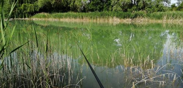 Terrain à vendre 35 000 € Saint-Genou 14200 m² DPE