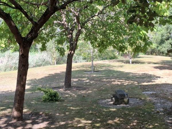 Terrain à vendre 35 000 € Saint-Genou 14200 m² DPE