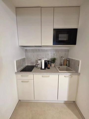 Vente Appartement 1 pièces 22 m2 à Cannes