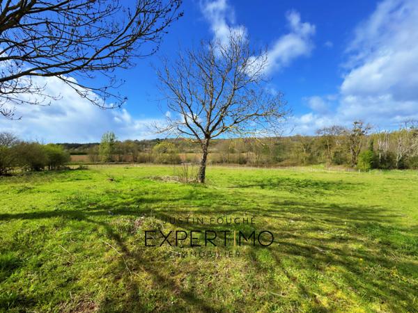 Soulitré (72370) Grande longère 460 m² à rénover sur 13 061 M² avec vue panoramique
