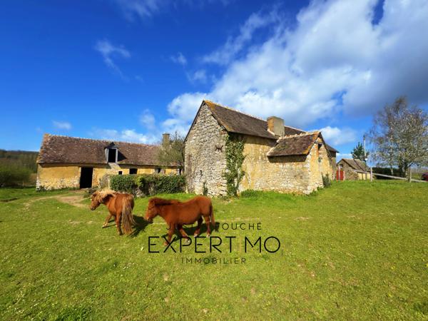 Soulitré (72370) Grande longère 460 m² à rénover sur 13 061 M² avec vue panoramique