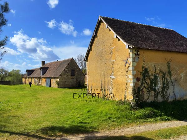 Soulitré (72370) Grande longère 460 m² à rénover sur 13 061 M² avec vue panoramique