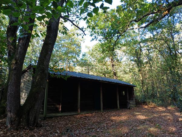 Vente Terrain10000 m² - NORON L ABBAYE (14700)