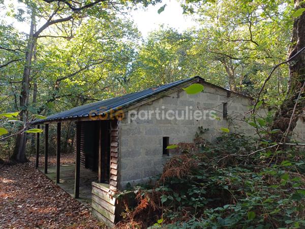 Vente Terrain10000 m² - NORON L ABBAYE (14700)