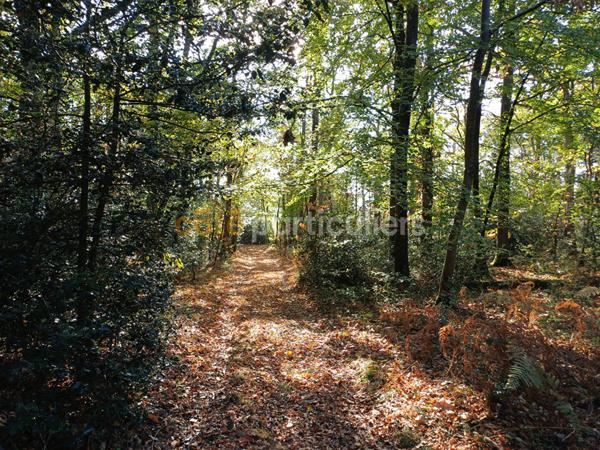 Vente Terrain10000 m² - NORON L ABBAYE (14700)