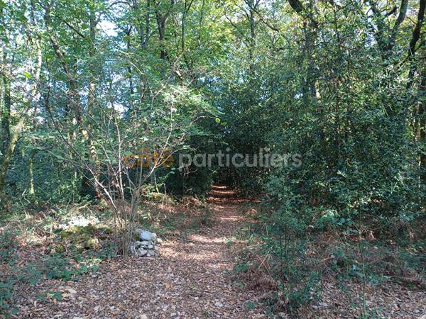 Vente Terrain10000 m² - NORON L ABBAYE (14700)