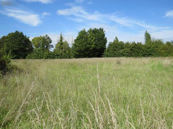 Terrain à Batir à vendre à Asfeld dans les Ardennes (08190), ref : 021/1764