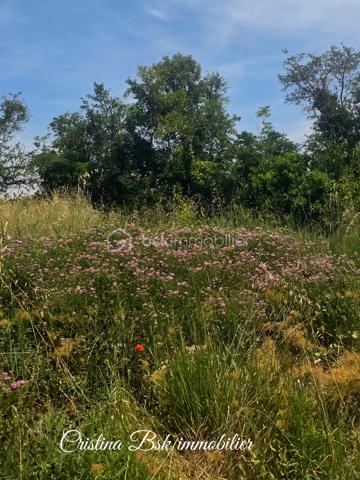 ! À saisir !
Magnifique terrain constructible de 490 m², idéalement situé.
Ce terrain est prêt à accueillir le projet de construction de votre choix, il bénéficie d'une exposition plein Sud, offrant ainsi un ensoleillement optimal.
Vous trouverez à proximité tous les commerces essentiels ainsi que des écoles, parfait pour toute la famille. En matière de transport, la gare SNCF est située à moins de 5 minutes, l'accès à l'autoroute A51 à 1 km. Par ailleurs, le site Cadarache/Iter se trouve à 20 minutes.
Le terrain est entièrement viabilisé et borné, raccordements aux réseaux d'eau, d'électricité, de téléphone sont disponibles, avec l'approvisionnement en eau du canal.
